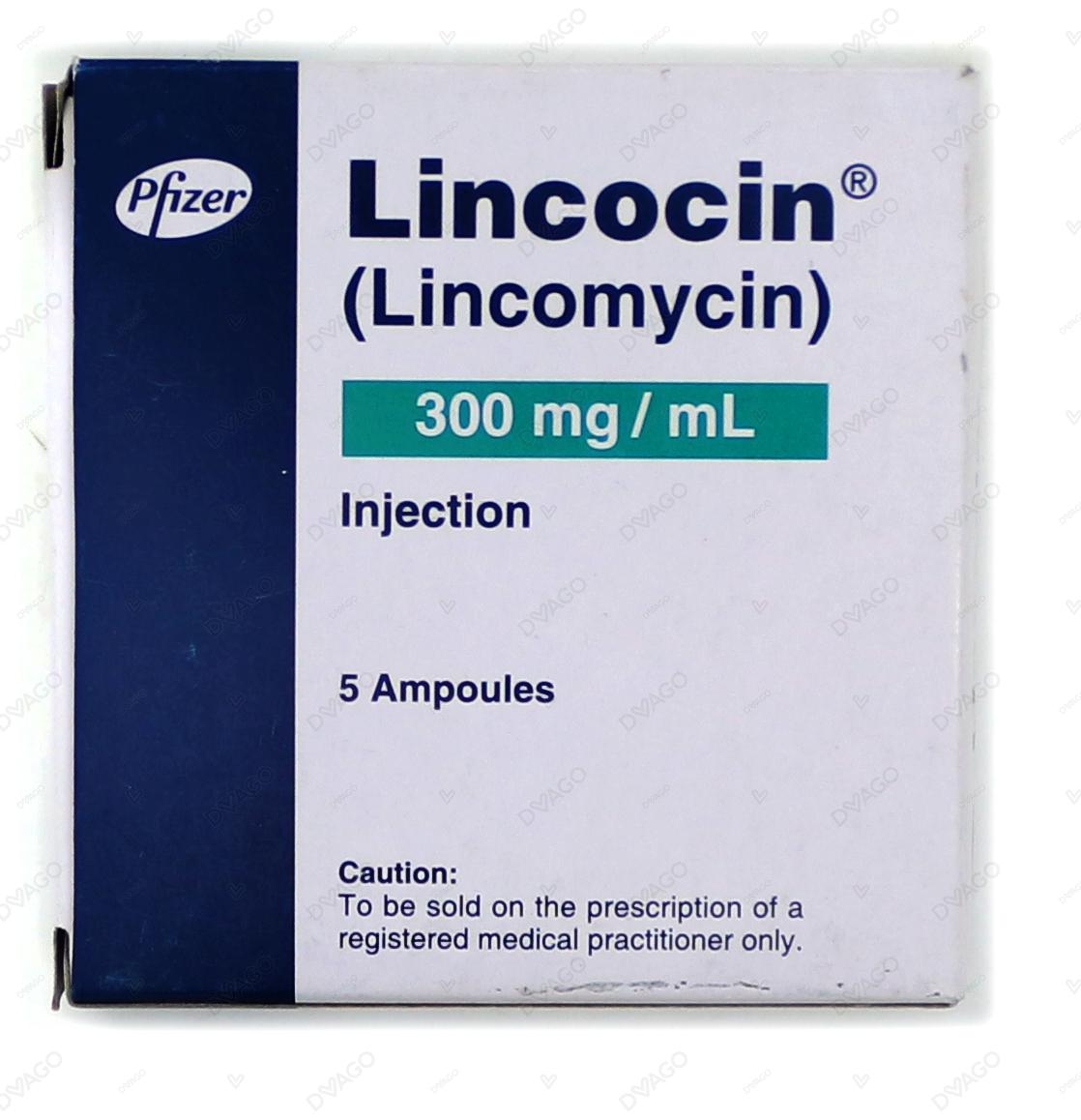 Lincocin Injection 300mg/ml (1 Box = 5 Ampoules)